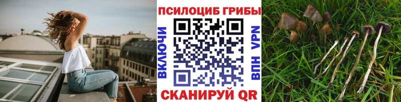 Псилоцибиновые грибы ЛСД  цена   Медвежьегорск 